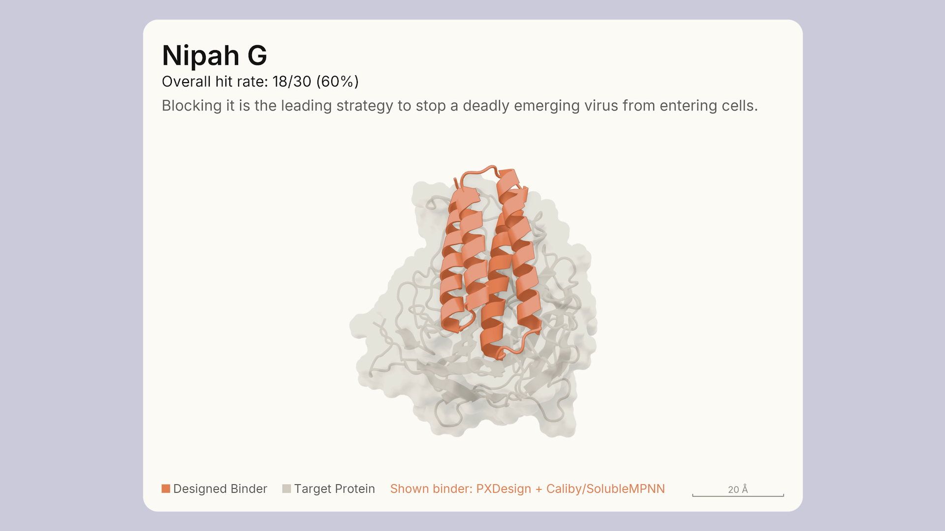 Nipah G protein binder design on Anthropic's release page
