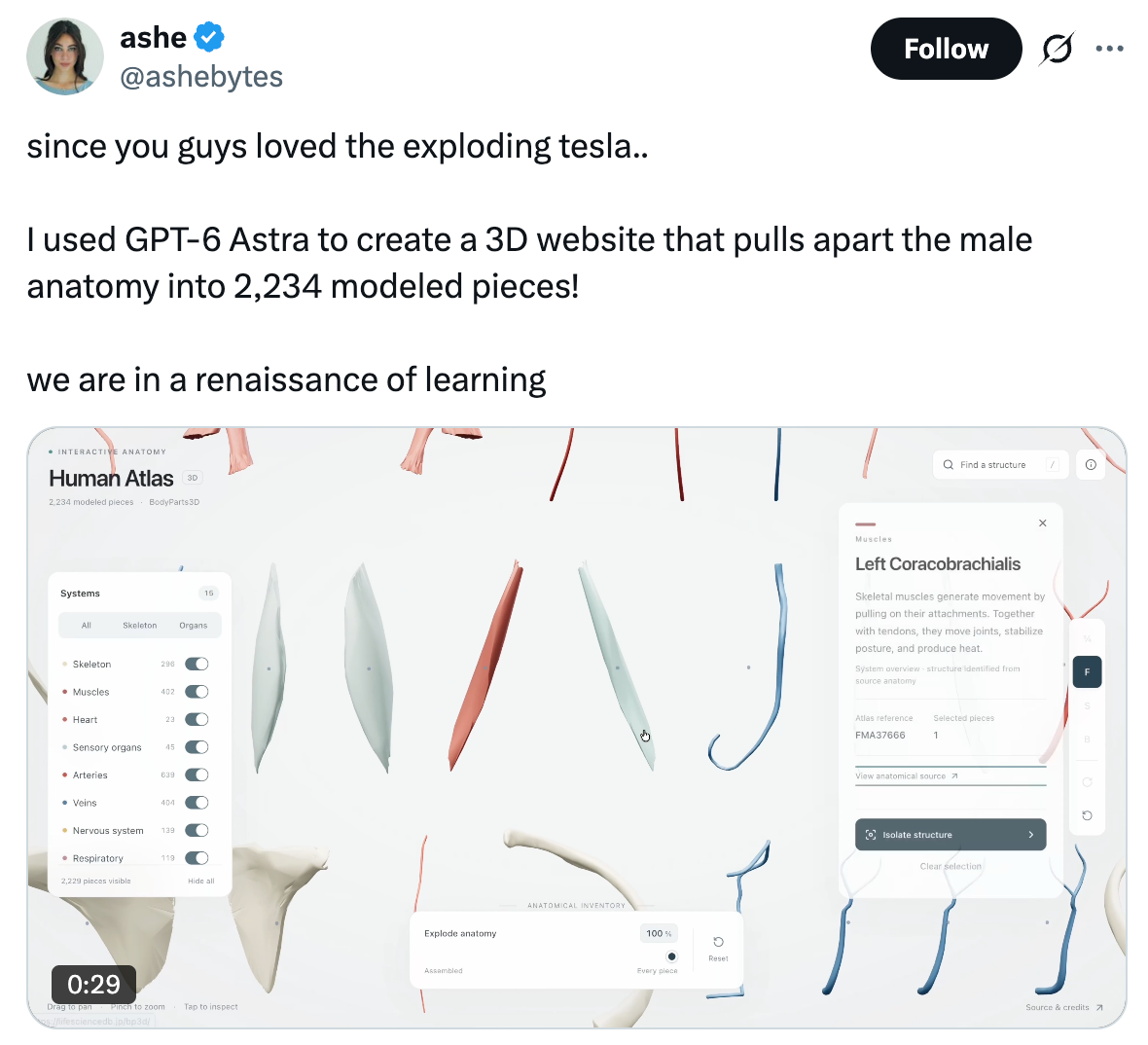 Original ashebytes post describing a GPT-6 Astra anatomy website with 2,234 modeled pieces